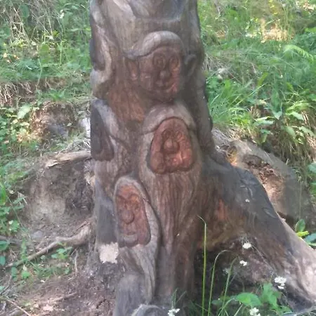 Rifugio Stella Alpina Πανδοχείο *