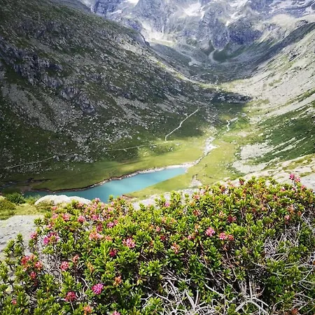 Rifugio Stella Alpina Saviore dell'Adamello